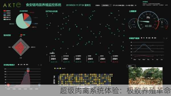 超级肉禽系统体验：极致养殖革命