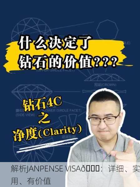解析JANPENSE VISA🔍：详细、实用、有价值