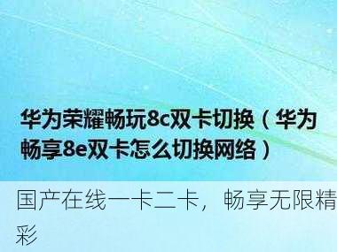 国产在线一卡二卡，畅享无限精彩