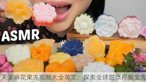 天美麻花果冻视频大全英文：探索全球甜点视频宝库