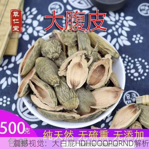 震撼视觉：大白屁HDHOOOPORND解析