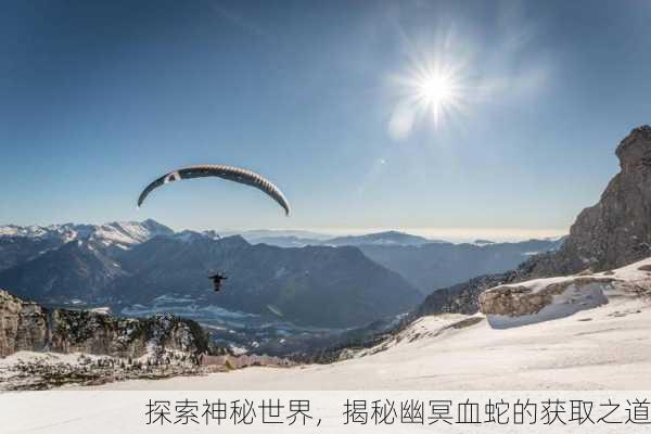 探索神秘世界，揭秘幽冥血蛇的获取之道