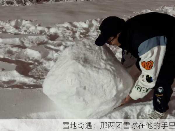 雪地奇遇：那两团雪球在他的手里