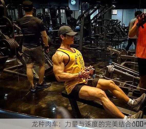 龙种肉车：力量与速度的完美结合💪