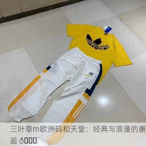 三叶草m欧洲码和天堂：经典与浪漫的邂逅 🌟