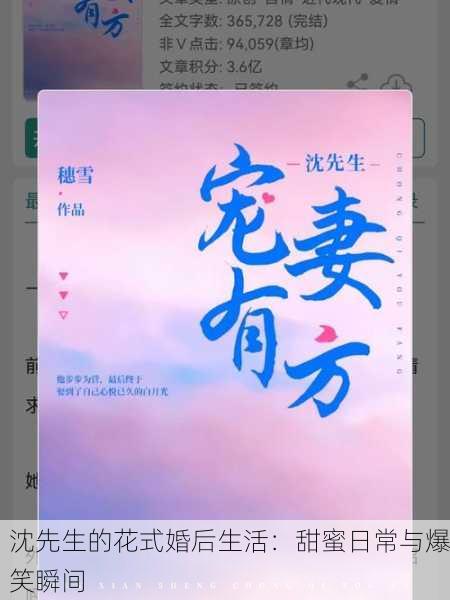 沈先生的花式婚后生活：甜蜜日常与爆笑瞬间