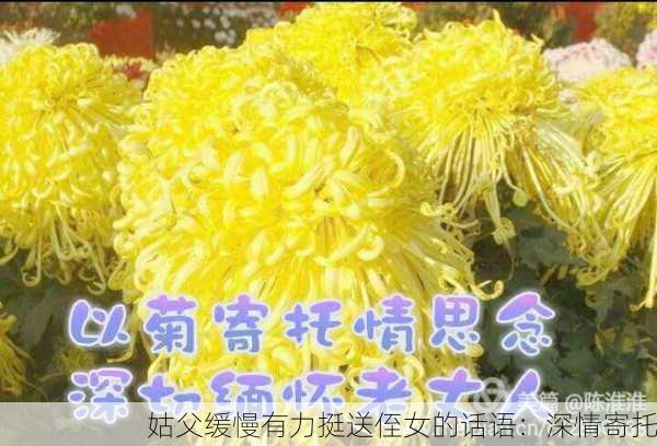 姑父缓慢有力挺送侄女的话语：深情寄托