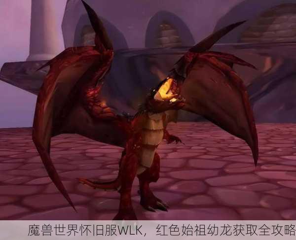 魔兽世界怀旧服WLK，红色始祖幼龙获取全攻略