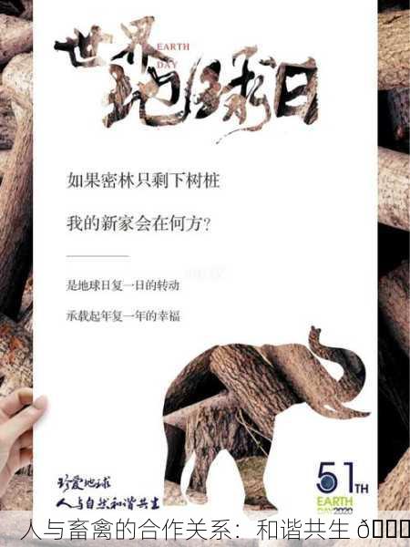人与畜禽的合作关系：和谐共生 🐓