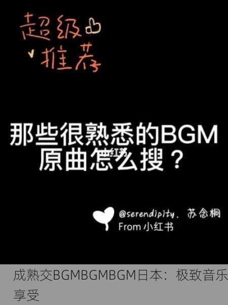 成熟交BGMBGMBGM日本：极致音乐享受