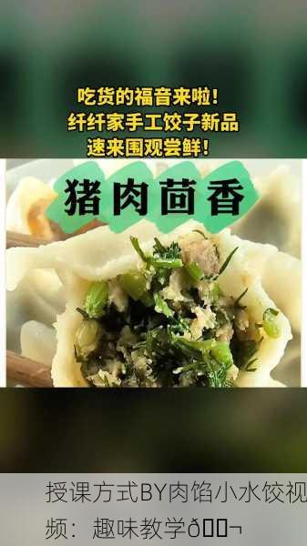 授课方式BY肉馅小水饺视频：趣味教学🎬