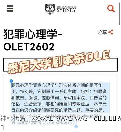 神秘代码＂XXXXXL19WAS.WAS＂🕵️‍♂️