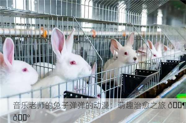 音乐老师的兔子弹弹的动漫：萌趣治愈之旅 🎶🐰