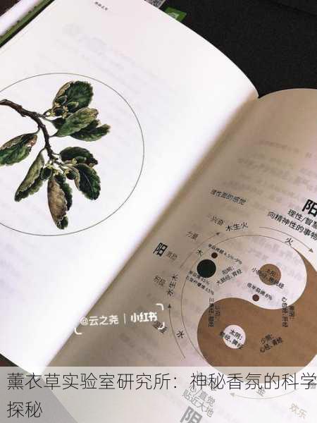 薰衣草实验室研究所：神秘香氛的科学探秘