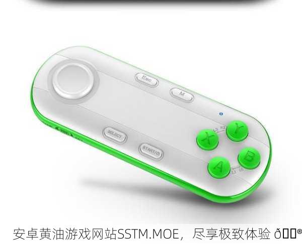 安卓黄油游戏网站SSTM.MOE，尽享极致体验 🎮