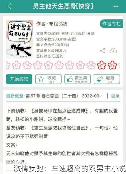 激情疾驰：车速超高的双男主小说
