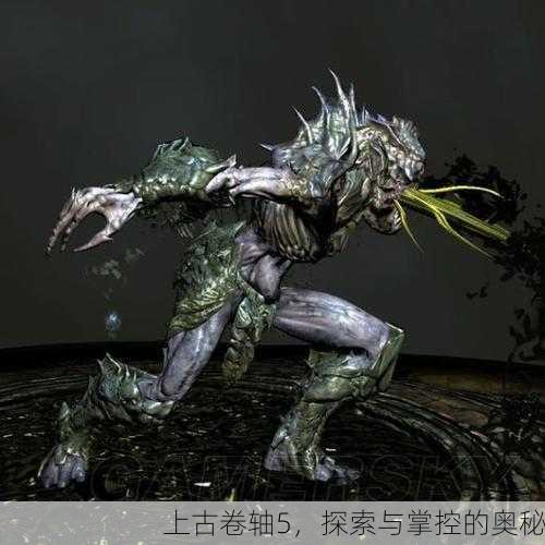 上古卷轴5，探索与掌控的奥秘
