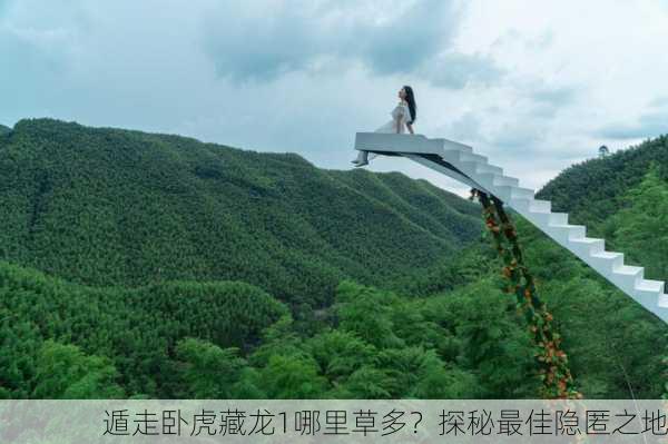 遁走卧虎藏龙1哪里草多？探秘最佳隐匿之地