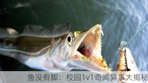 鱼没有脚：校园1v1奇闻异事大揭秘