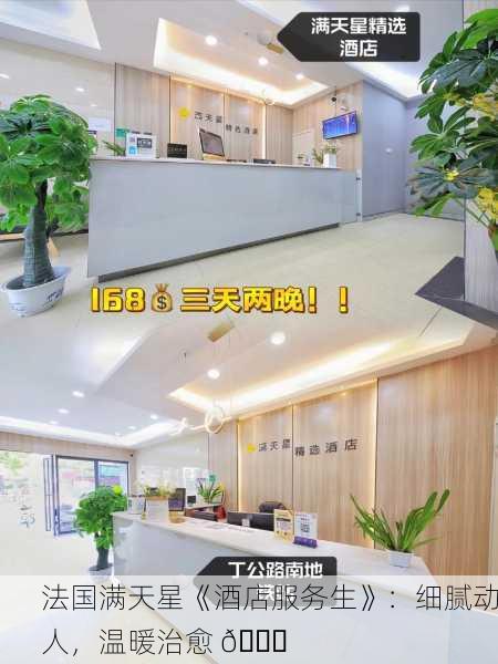 法国满天星《酒店服务生》：细腻动人，温暖治愈 🌟