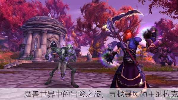 魔兽世界中的冒险之旅，寻找暴风领主纳拉克