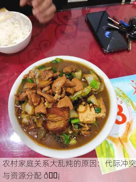 农村家庭关系大乱炖的原因：代际冲突与资源分配 🏡