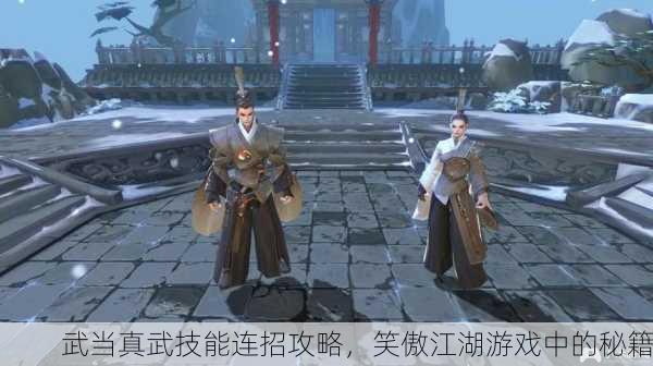 武当真武技能连招攻略，笑傲江湖游戏中的秘籍