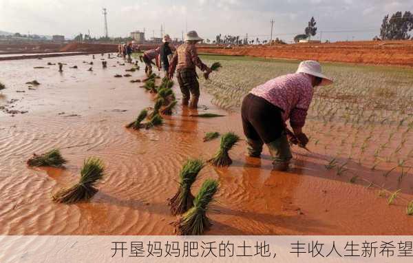 开垦妈妈肥沃的土地，丰收人生新希望