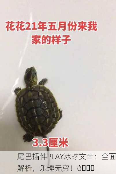 尾巴插件PLAY冰球文章：全面解析，乐趣无穷！🏒