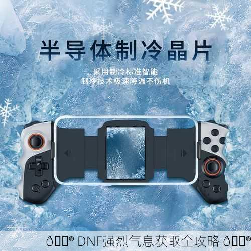 🎮 DNF强烈气息获取全攻略 🎮