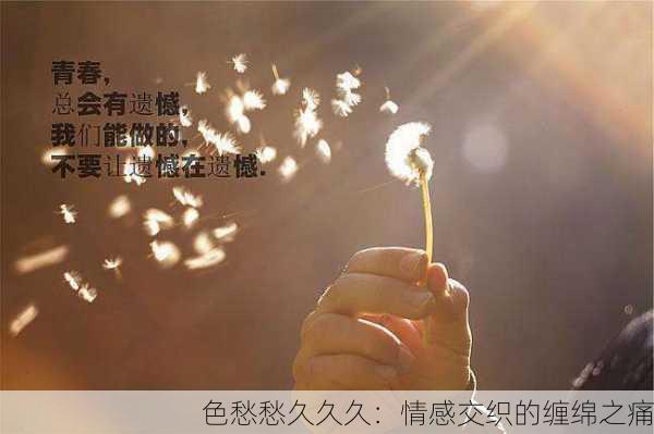 色愁愁久久久：情感交织的缠绵之痛