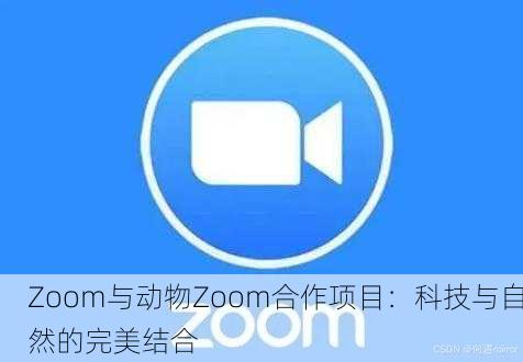 Zoom与动物Zoom合作项目：科技与自然的完美结合