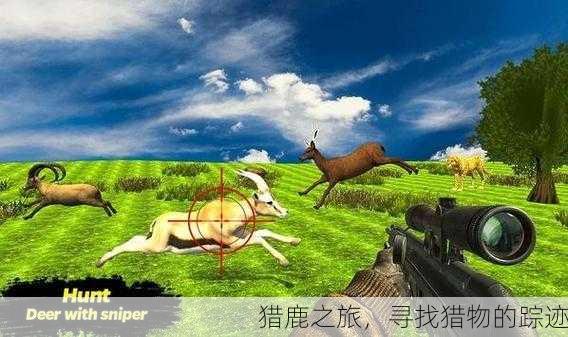 猎鹿之旅，寻找猎物的踪迹