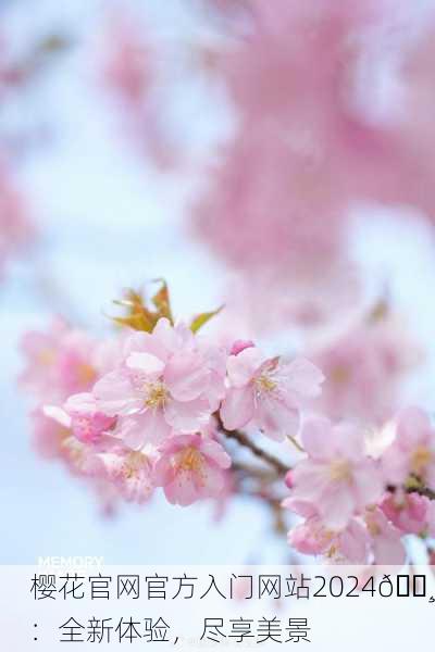 樱花官网官方入门网站2024🌸：全新体验，尽享美景
