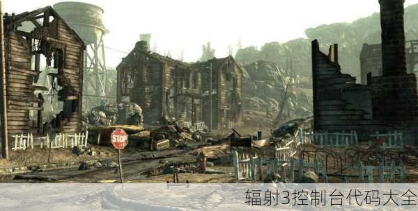 辐射3控制台代码大全
