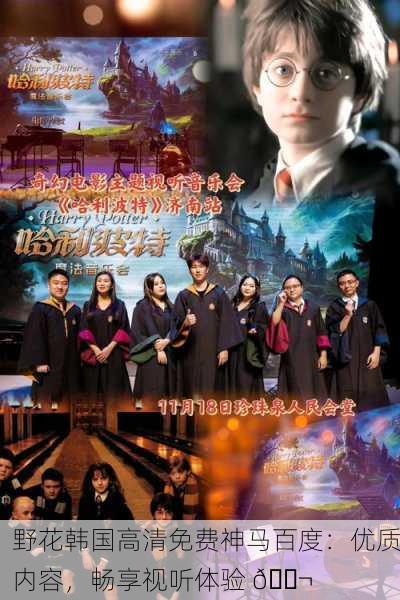 野花韩国高清免费神马百度：优质内容，畅享视听体验 🎬