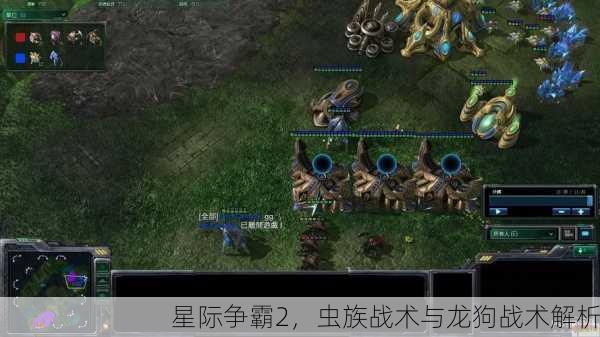 星际争霸2，虫族战术与龙狗战术解析