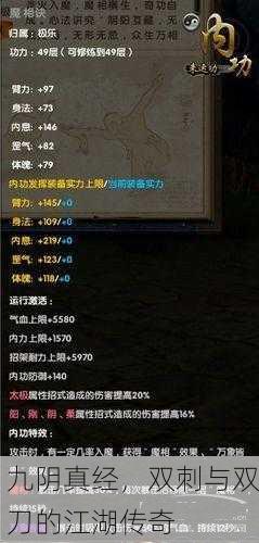 九阴真经，双刺与双刀的江湖传奇