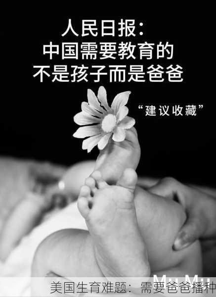 美国生育难题：需要爸爸播种