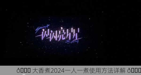 🌟 大香煮2024一人一煮使用方法详解 🌟