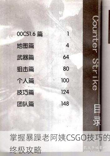 掌握暴躁老阿姨CSGO技巧的终极攻略