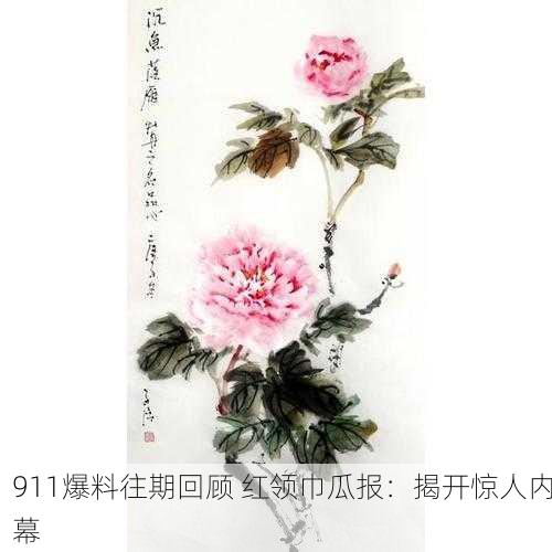911爆料往期回顾 红领巾瓜报：揭开惊人内幕