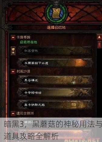 暗黑3，黑蘑菇的神秘用法与道具攻略全解析