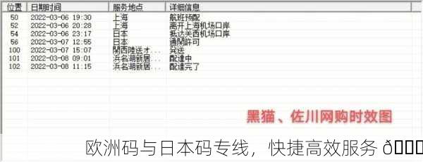 欧洲码与日本码专线，快捷高效服务 🚀