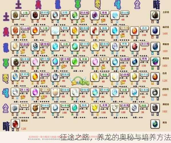 征途之路，养龙的奥秘与培养方法
