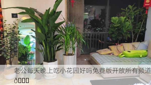 老公每天晚上吃小花园好吗免费版开放所有频道🌟