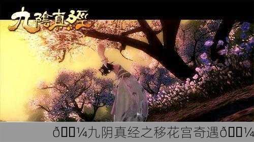 🌼九阴真经之移花宫奇遇🌼