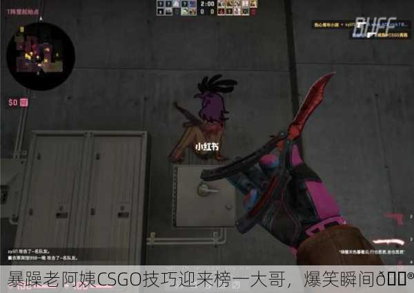 暴躁老阿姨CSGO技巧迎来榜一大哥，爆笑瞬间🎮
