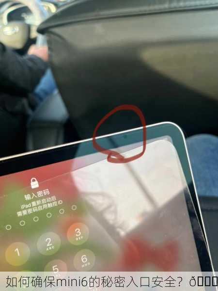 如何确保mini6的秘密入口安全？🔒