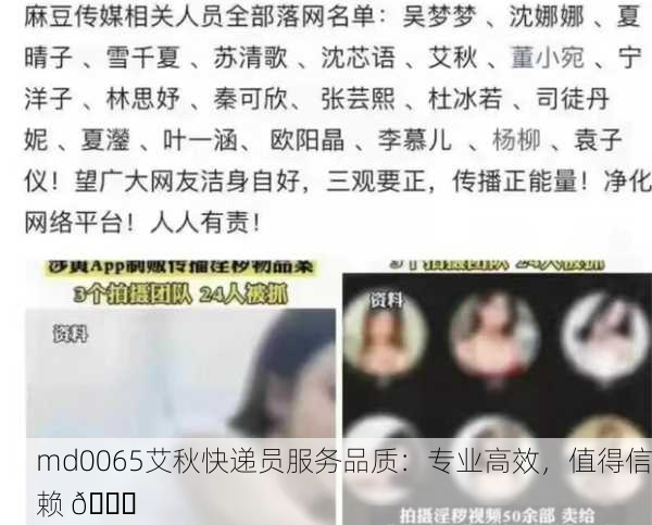 md0065艾秋快递员服务品质：专业高效，值得信赖 🚀